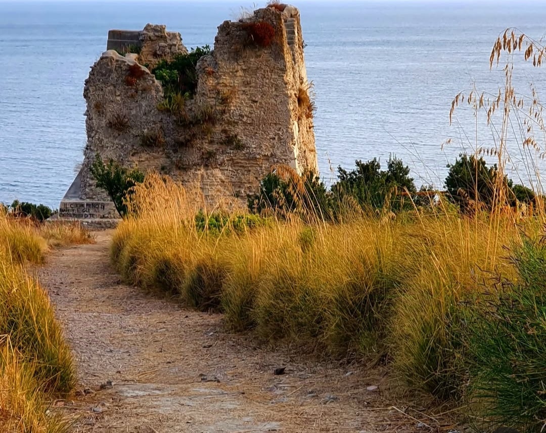 Immagine 3