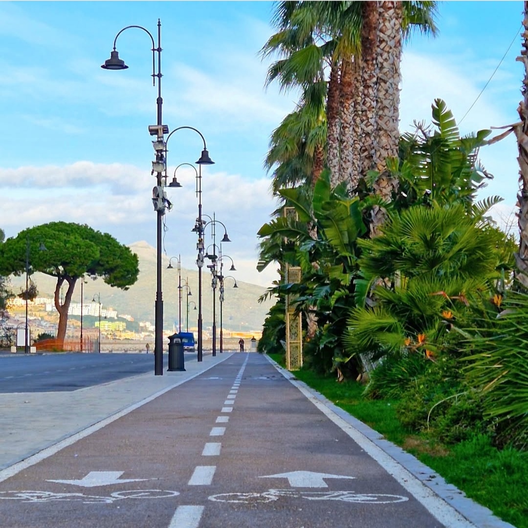 Immagine 3