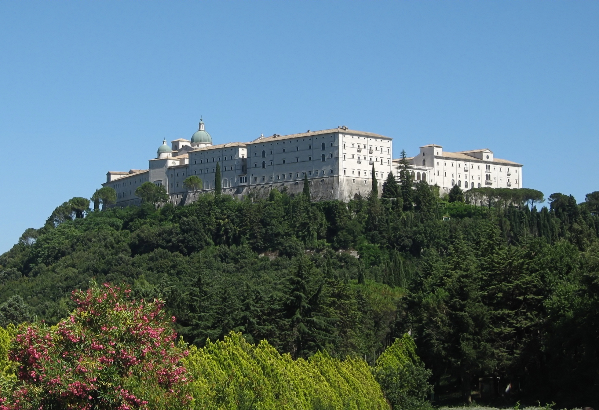 Immagine 3