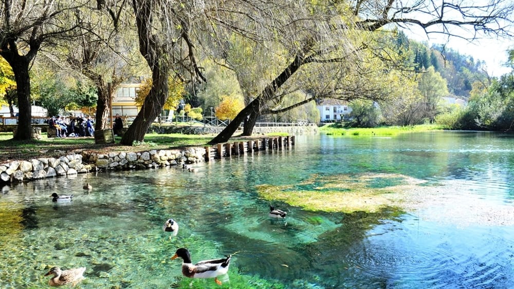 Immagine 3